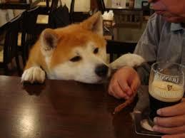 食いしん坊な動物の画像