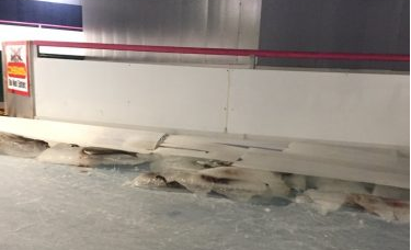 スペースワールド 魚5千匹氷漬け展示を中止 批判殺到で