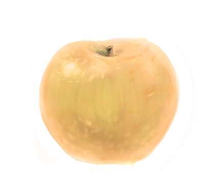 今、無性に食べたい物はなんですか？【お絵描きトピ】