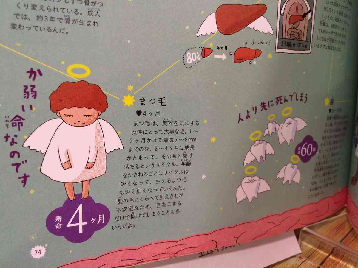 図書館で借りて面白かった本