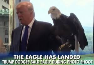 やっぱりドナルド・トランプよりオバマ大統領のほうがいいと話題に