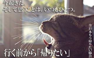 「月曜が憂鬱…」を和らげる。日曜夜と月曜朝を楽しくする、11の方法