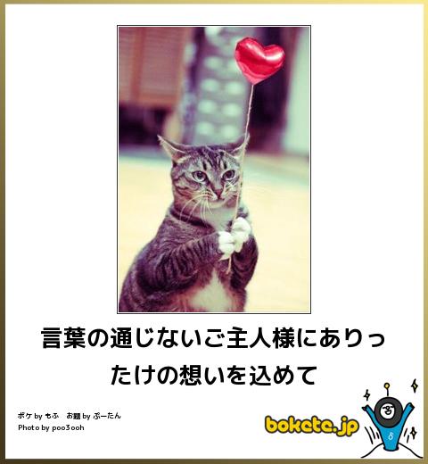 気分が明るくポジティブになれるトピ
