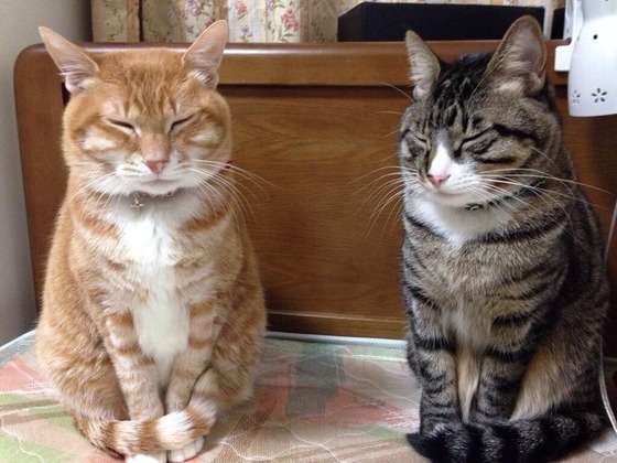 気分が明るくポジティブになれるトピ