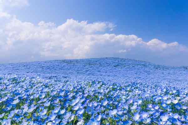 好きな色の画像を貼っていくトピ