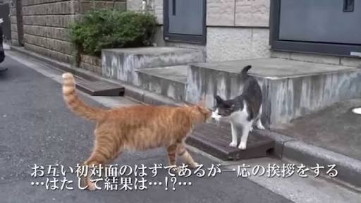 コメントした数字がゾロ目だったら幸福が舞い降りてくるトピック②