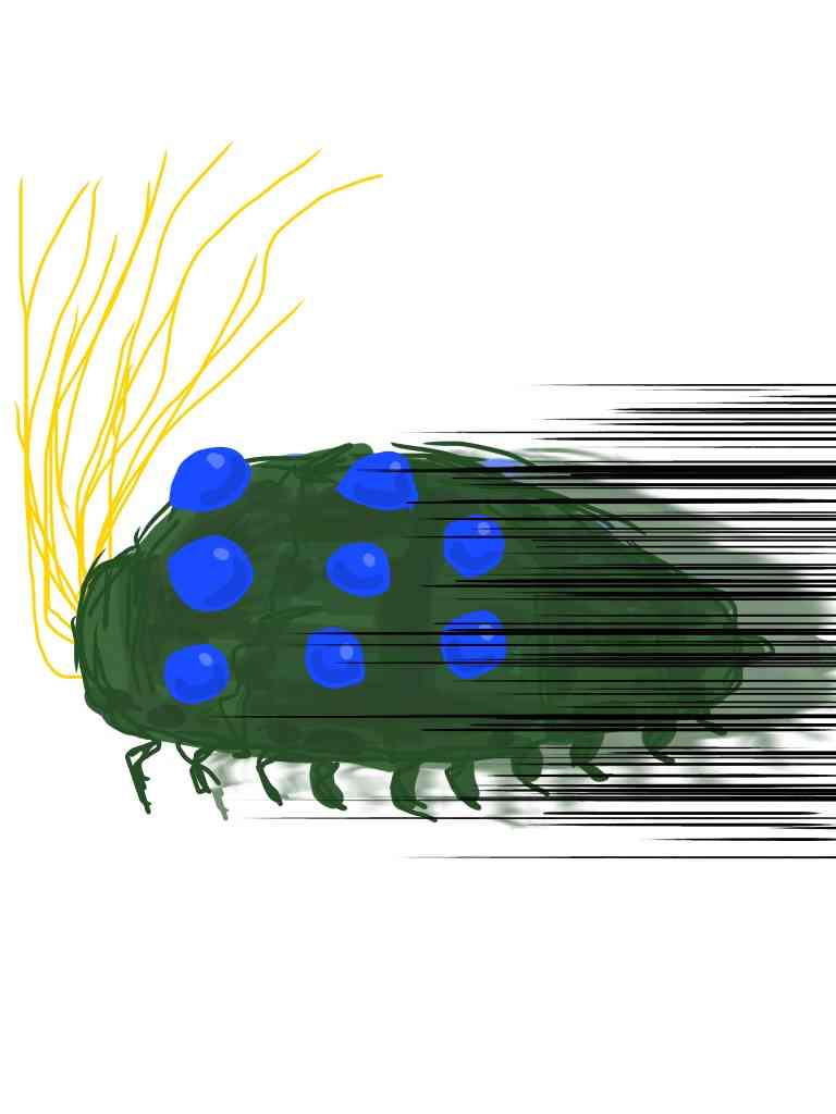 ジブリのキャラクターを記憶だけで描くトピ