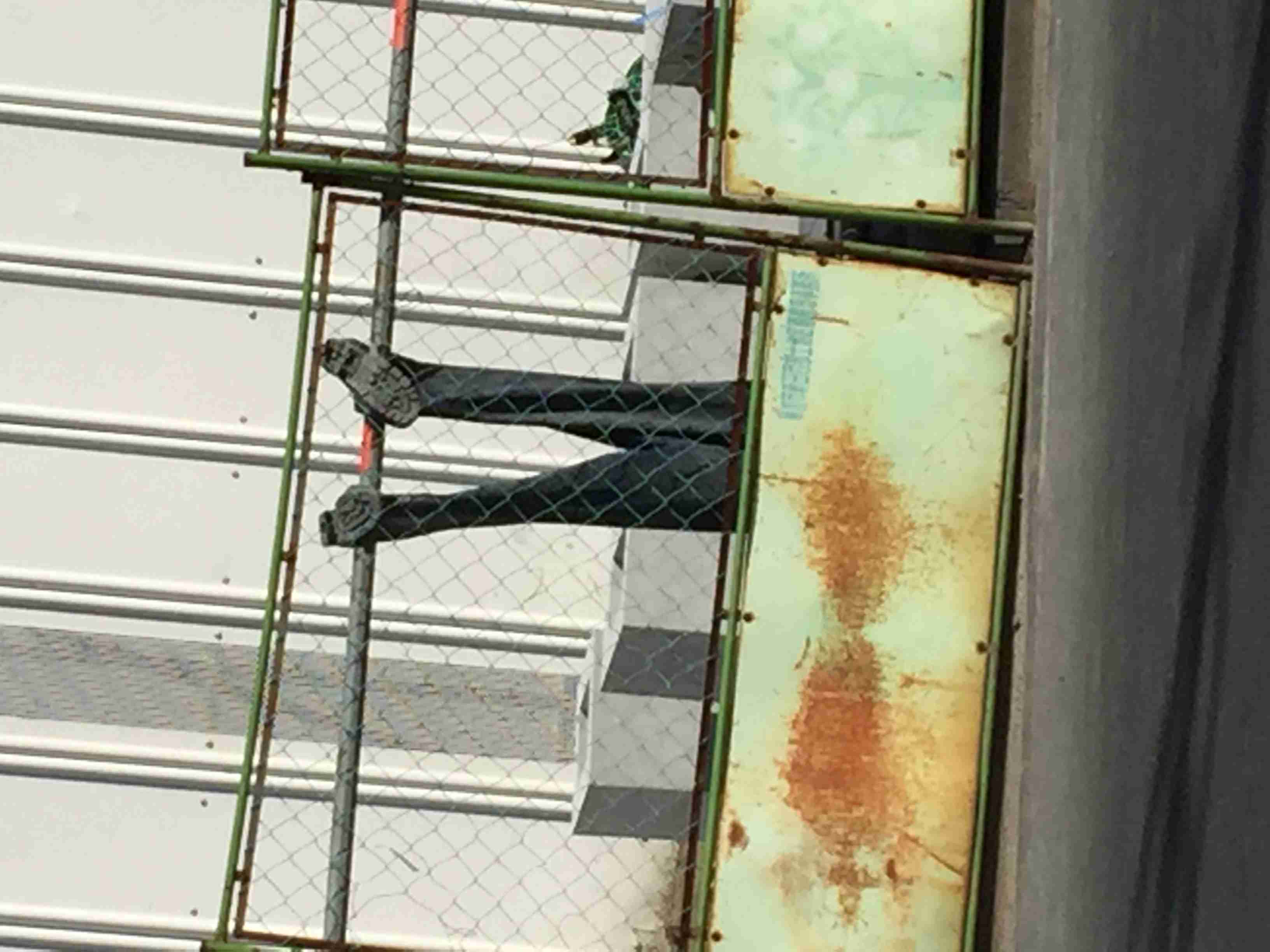何で保存したんだろうって画像を貼っていくトピ
