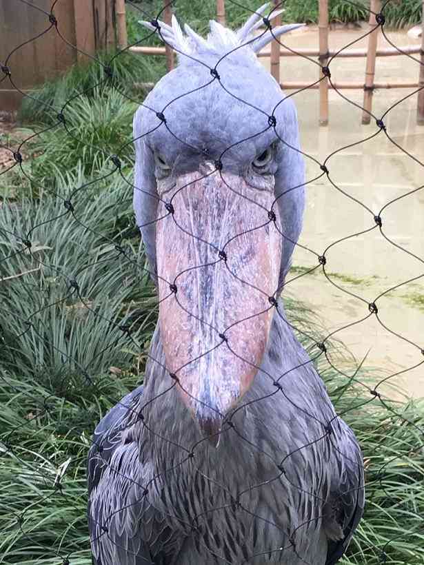 何で保存したんだろうって画像を貼っていくトピ