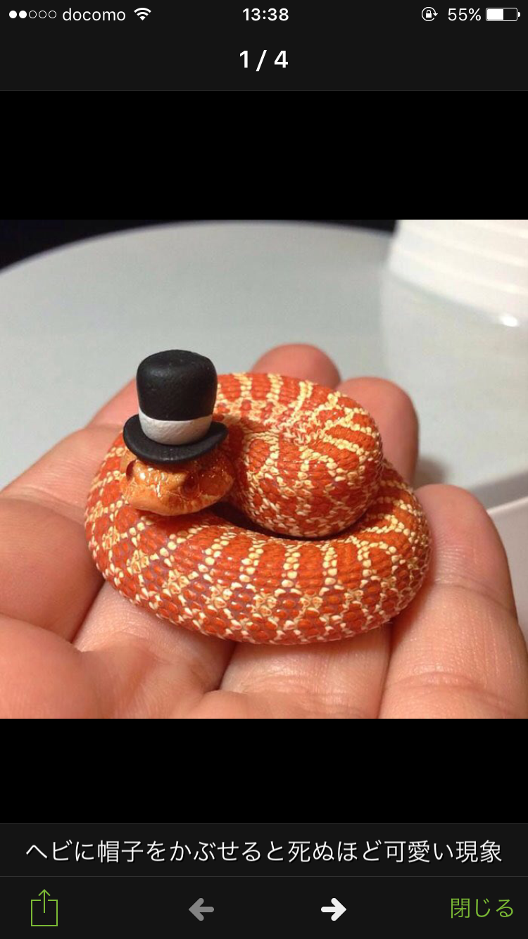 何で保存したんだろうって画像を貼っていくトピ