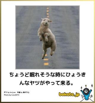 何で保存したんだろうって画像を貼っていくトピ