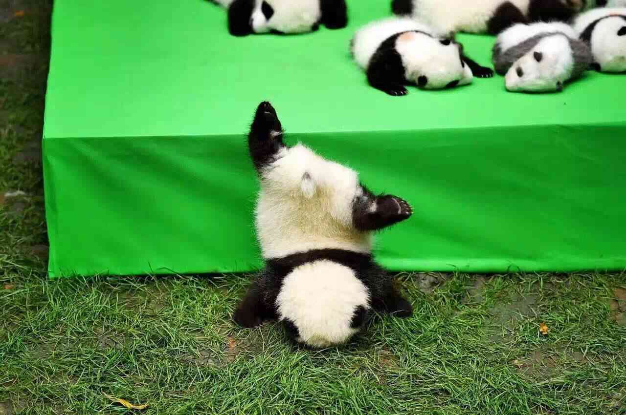 何で保存したんだろうって画像を貼っていくトピ