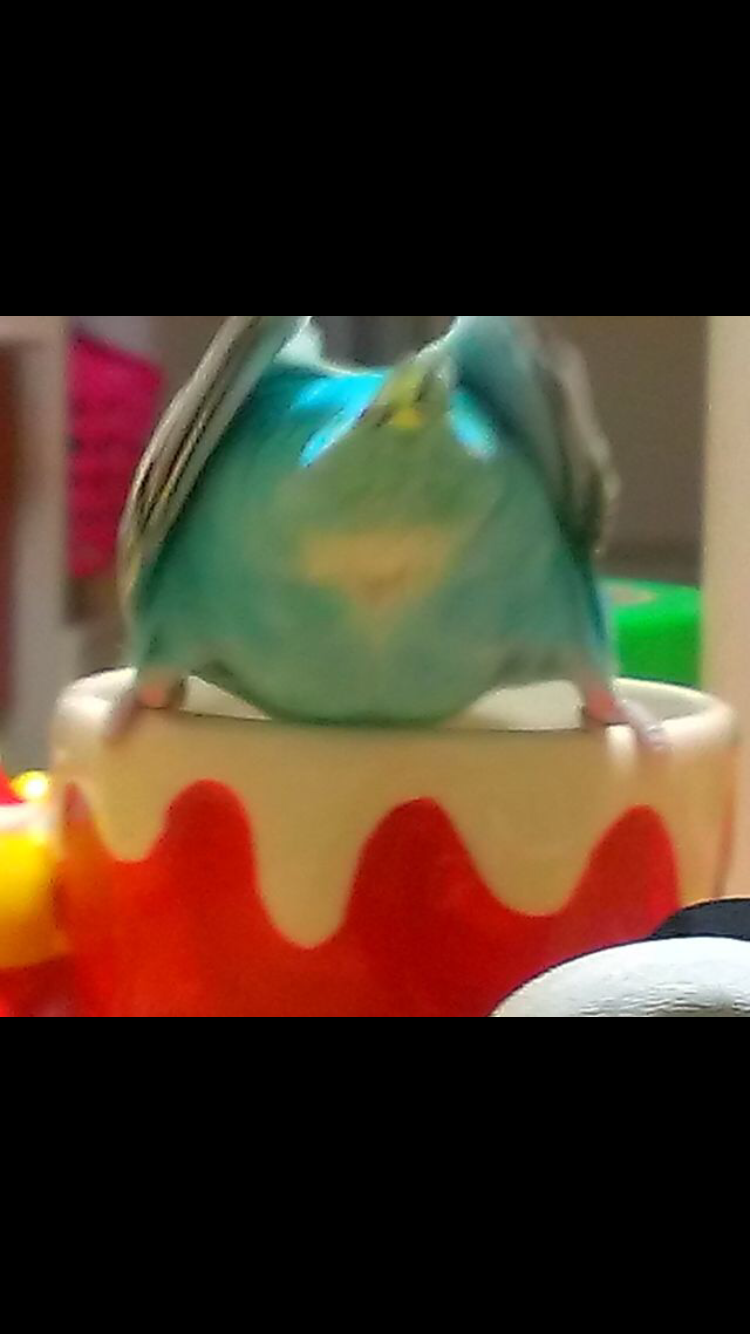 何で保存したんだろうって画像を貼っていくトピ