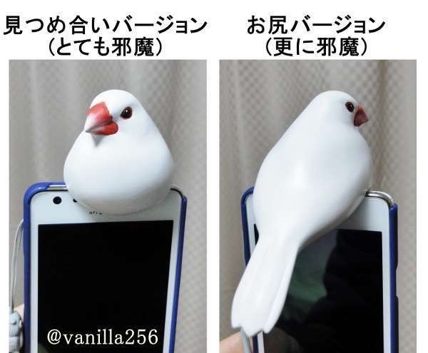 何で保存したんだろうって画像を貼っていくトピ