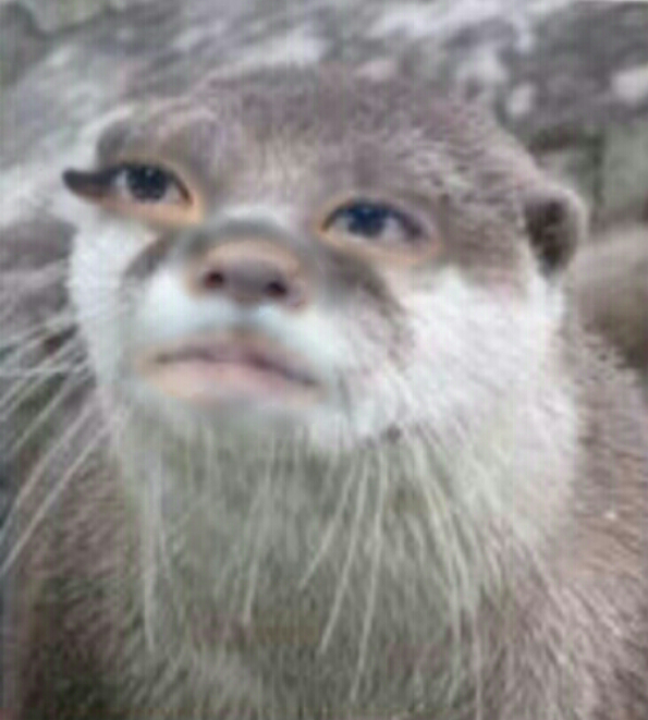 何で保存したんだろうって画像を貼っていくトピ