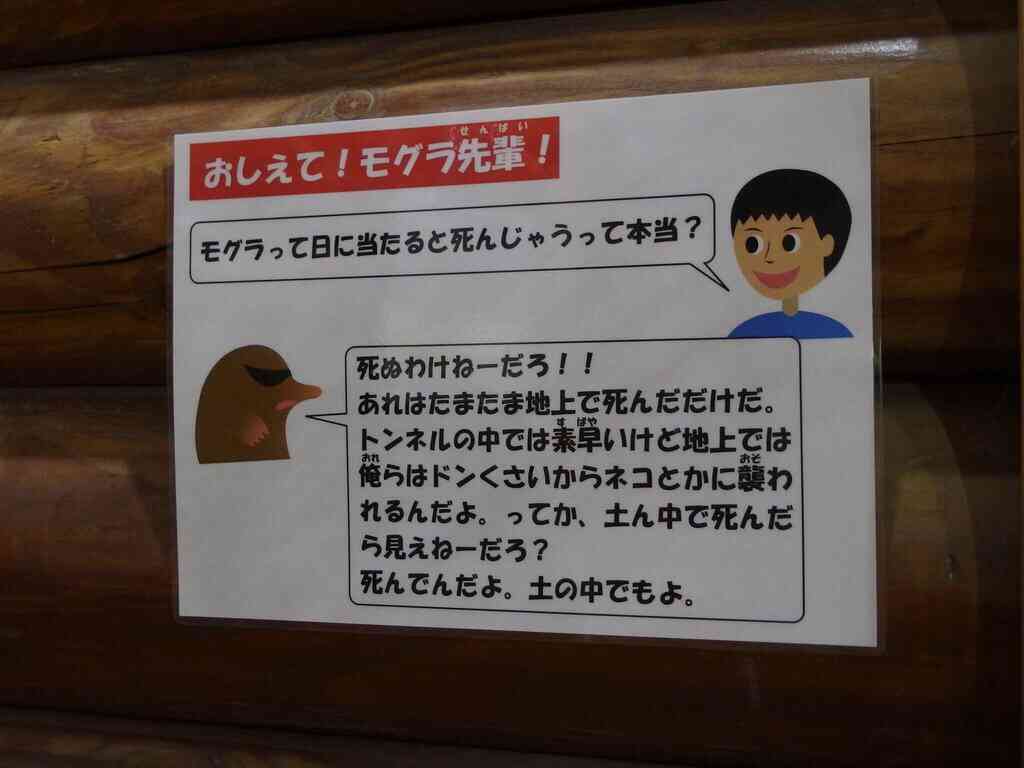 何で保存したんだろうって画像を貼っていくトピ