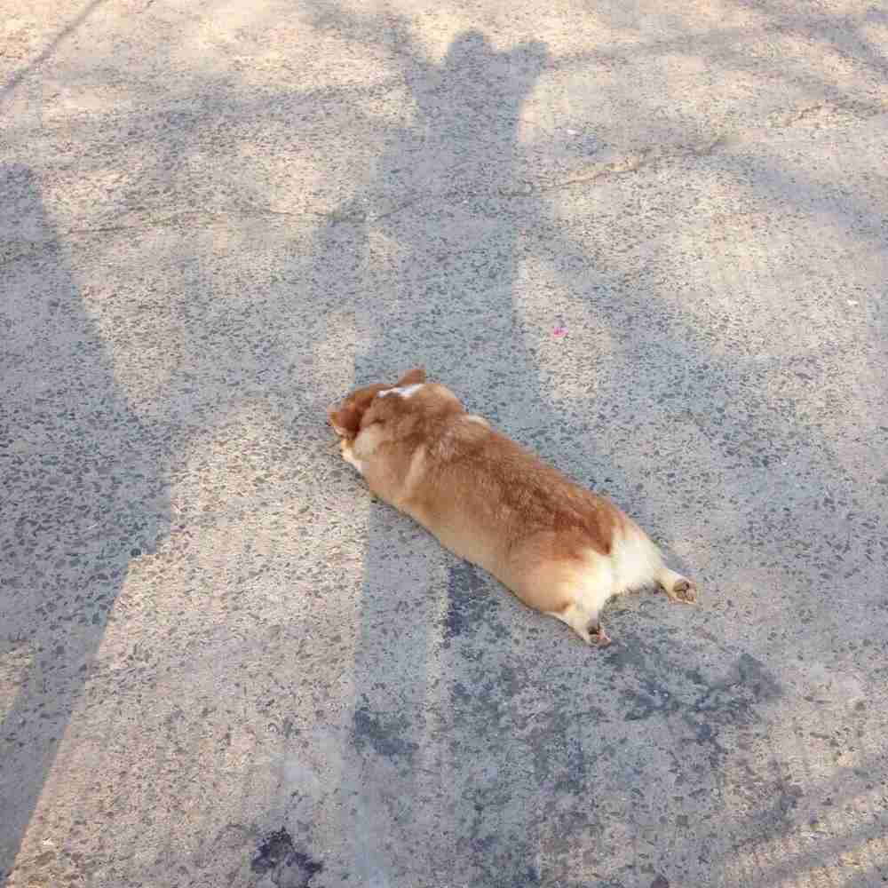何で保存したんだろうって画像を貼っていくトピ
