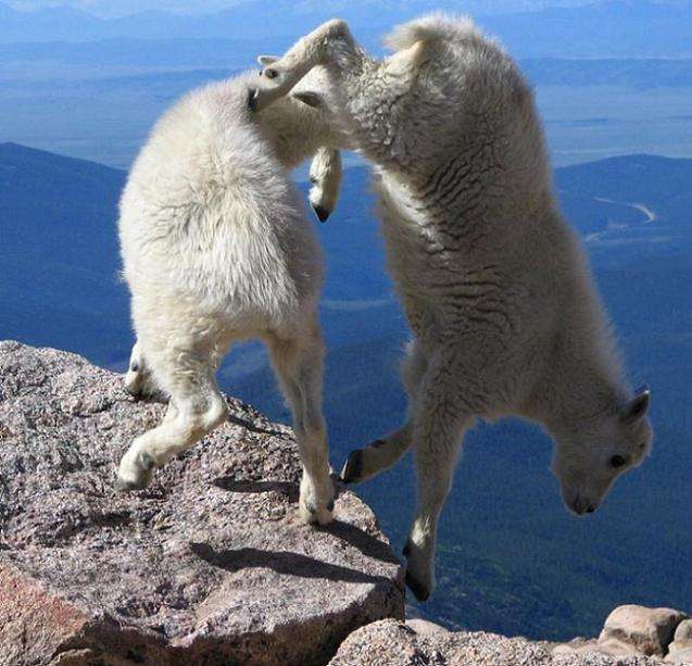 ヒヤヒヤする画像