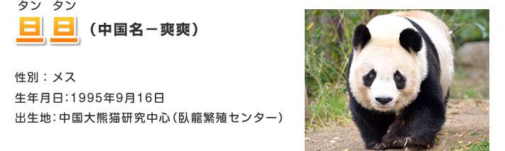 【大阪旅行】オススメ