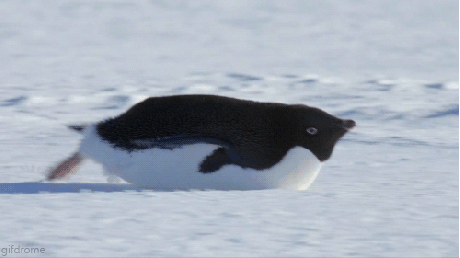 冬の小さい幸せをかみしめるトピ