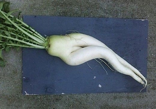 足のお悩み相談室