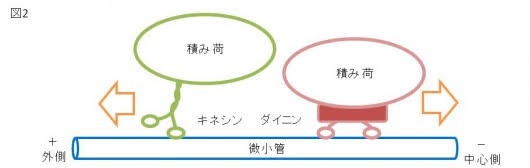 理想の結婚相手を絵と文で描いてみるトピ