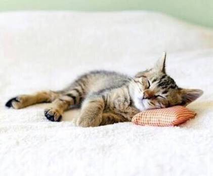 名前につけない方が良い漢字 ガールズちゃんねる Girls Channel