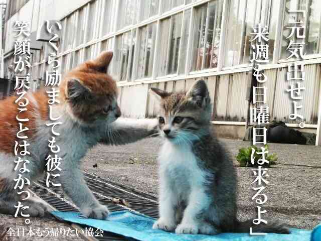 【恒例】明日が憂鬱なトピ
