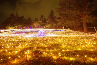 イルミネーションの画像みたいです！