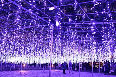 イルミネーションの画像みたいです！