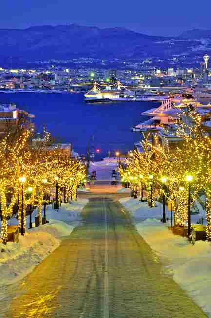 イルミネーションの画像みたいです！