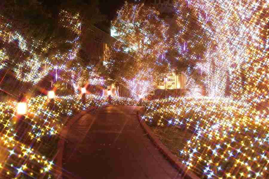 イルミネーションの画像みたいです！