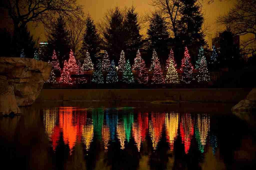 イルミネーションの画像みたいです！