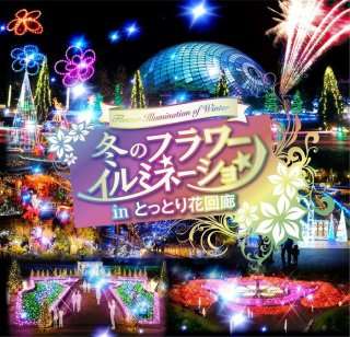 イルミネーションの画像みたいです！