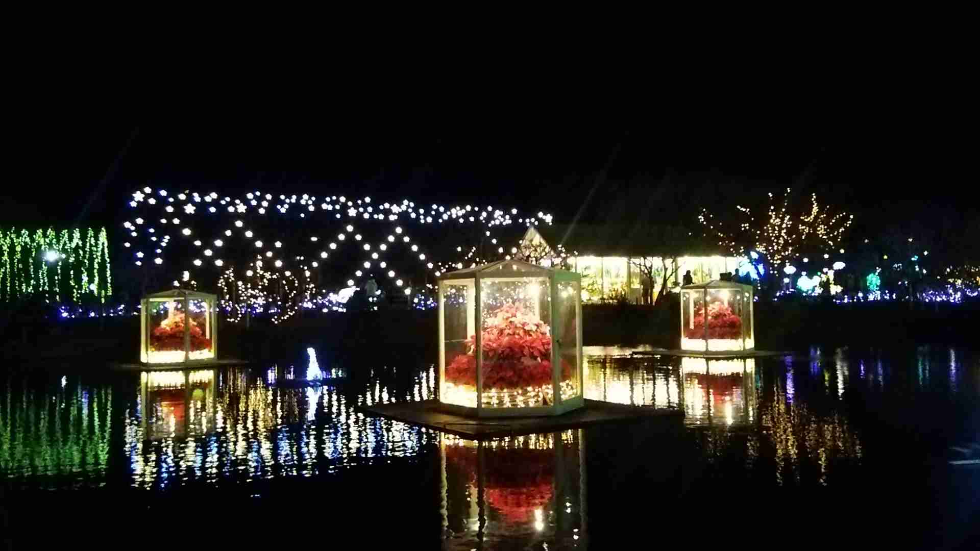 イルミネーションの画像みたいです！