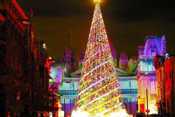 イルミネーションの画像みたいです！