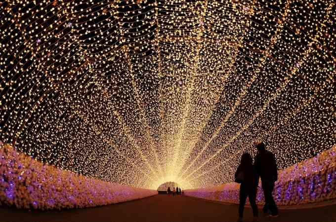 イルミネーションの画像みたいです！