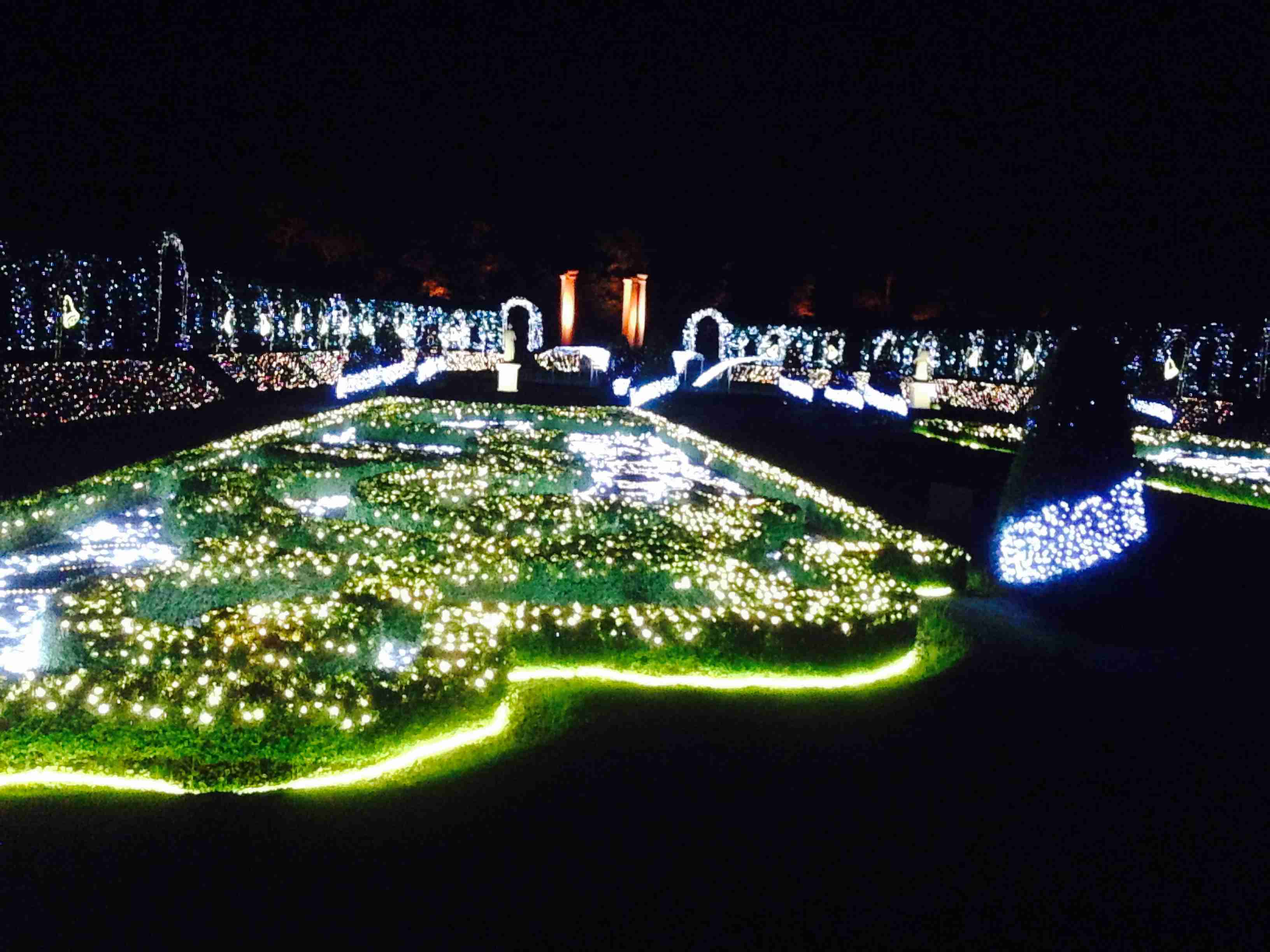 イルミネーションの画像みたいです！