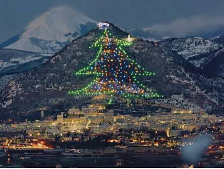 イルミネーションの画像みたいです！