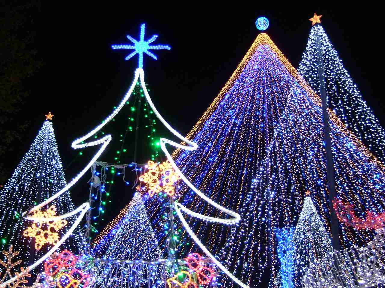 イルミネーションの画像みたいです！