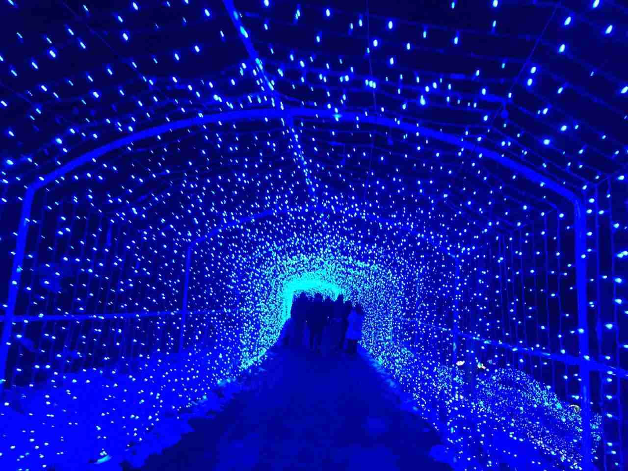 イルミネーションの画像みたいです！