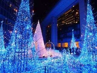 イルミネーションの画像みたいです！