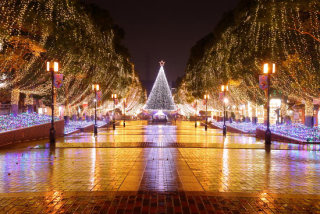 イルミネーションの画像みたいです！