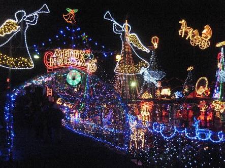 イルミネーションの画像みたいです！