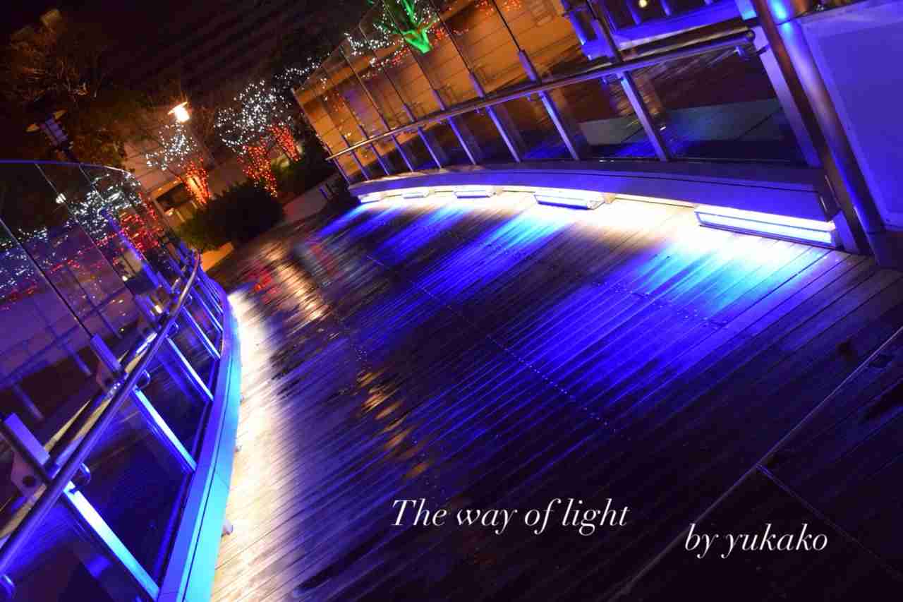 イルミネーションの画像みたいです！