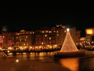 イルミネーションの画像みたいです！