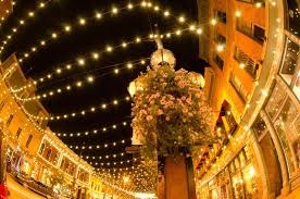 イルミネーションの画像みたいです！