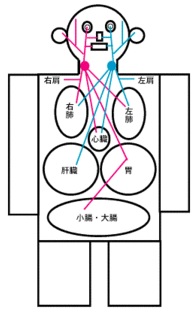首を寝違えたときの対処法教えてください!