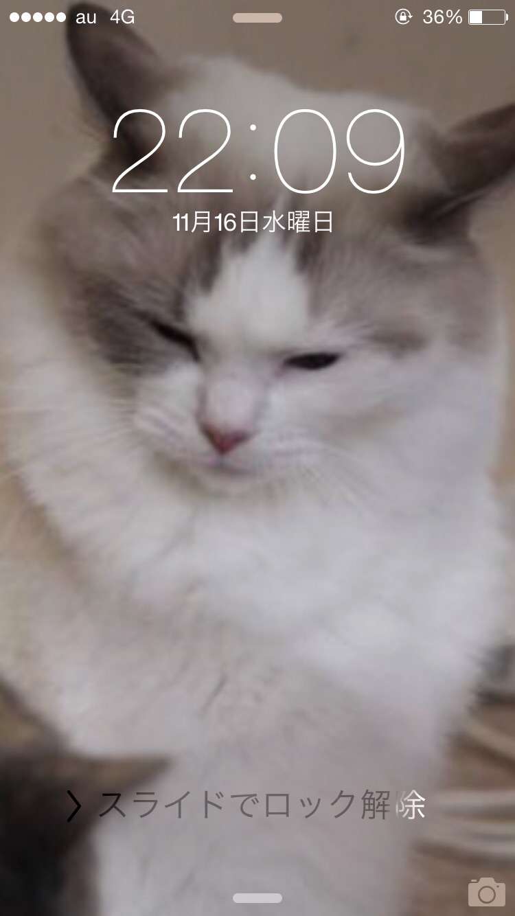 ロック画面＆ホーム画面