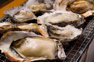 明日旅行行くならどこに行く?